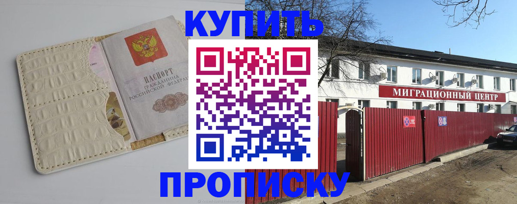 миграционный учет в Щёлково